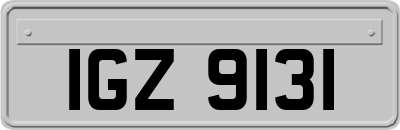 IGZ9131