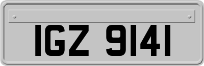IGZ9141