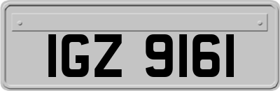 IGZ9161