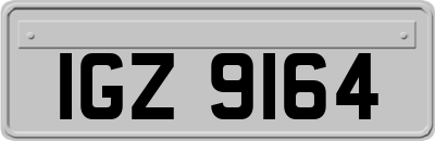 IGZ9164