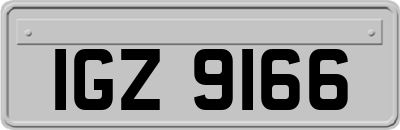 IGZ9166