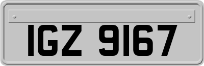 IGZ9167
