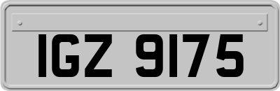IGZ9175