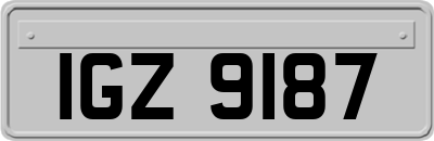 IGZ9187