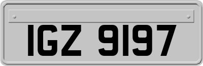 IGZ9197