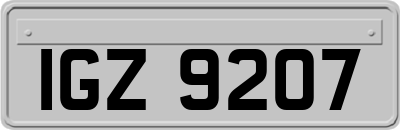 IGZ9207