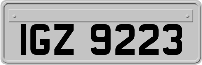 IGZ9223