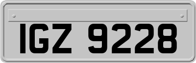 IGZ9228