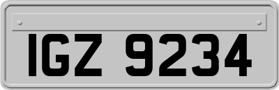 IGZ9234