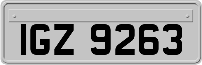 IGZ9263