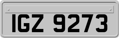 IGZ9273