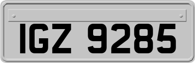 IGZ9285