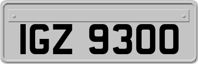 IGZ9300
