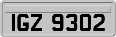 IGZ9302