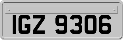 IGZ9306