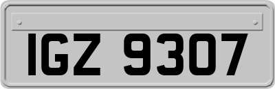 IGZ9307