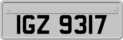 IGZ9317