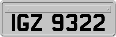 IGZ9322
