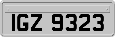 IGZ9323