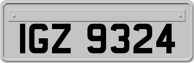 IGZ9324