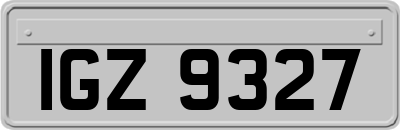 IGZ9327