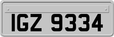 IGZ9334