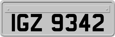IGZ9342