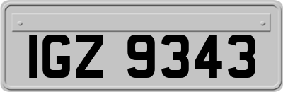 IGZ9343