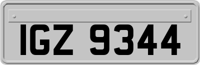 IGZ9344