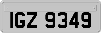 IGZ9349