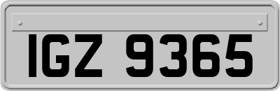 IGZ9365