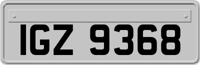 IGZ9368