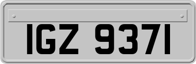 IGZ9371