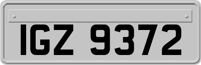 IGZ9372
