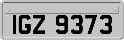 IGZ9373