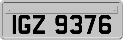 IGZ9376