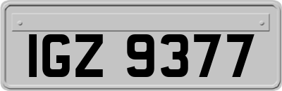IGZ9377