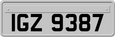 IGZ9387