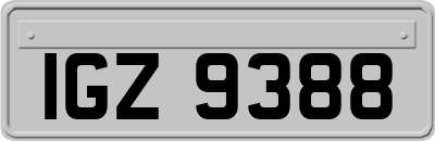 IGZ9388