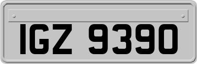 IGZ9390