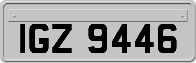 IGZ9446