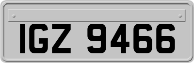 IGZ9466