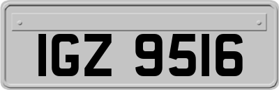 IGZ9516