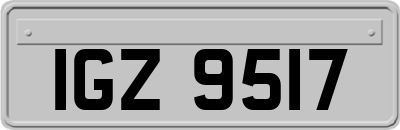 IGZ9517