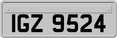 IGZ9524