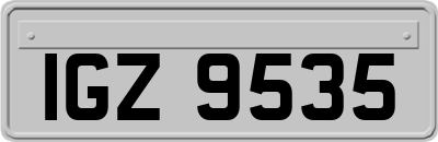 IGZ9535
