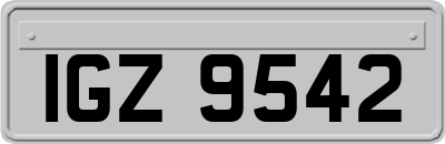 IGZ9542