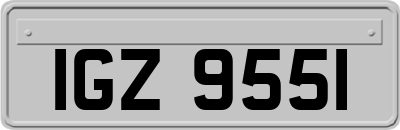 IGZ9551