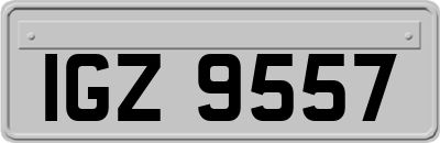 IGZ9557