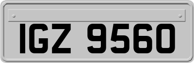 IGZ9560